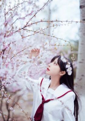 福星闯江湖_免费观看完整版下载